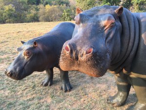 Molly and Emma (I think Molly is the 